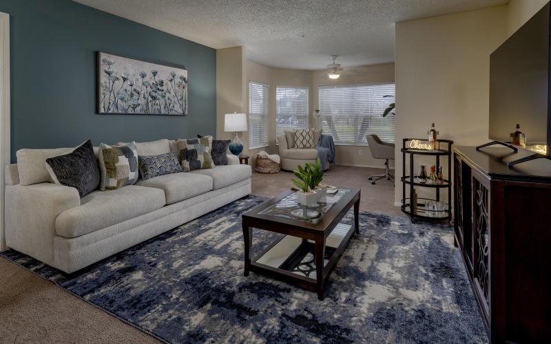 Apartment Home Amenities